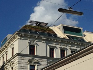 Dachbegruenung